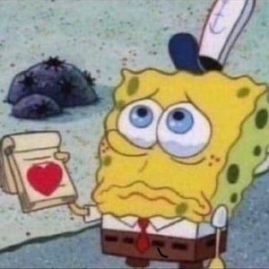 Meet your Posher, Theresa